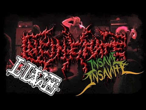 Incinerate Live @ Insane Insanity #8 - 25.04.2015 - FULL SHOW - Dani Zed - Death Metal