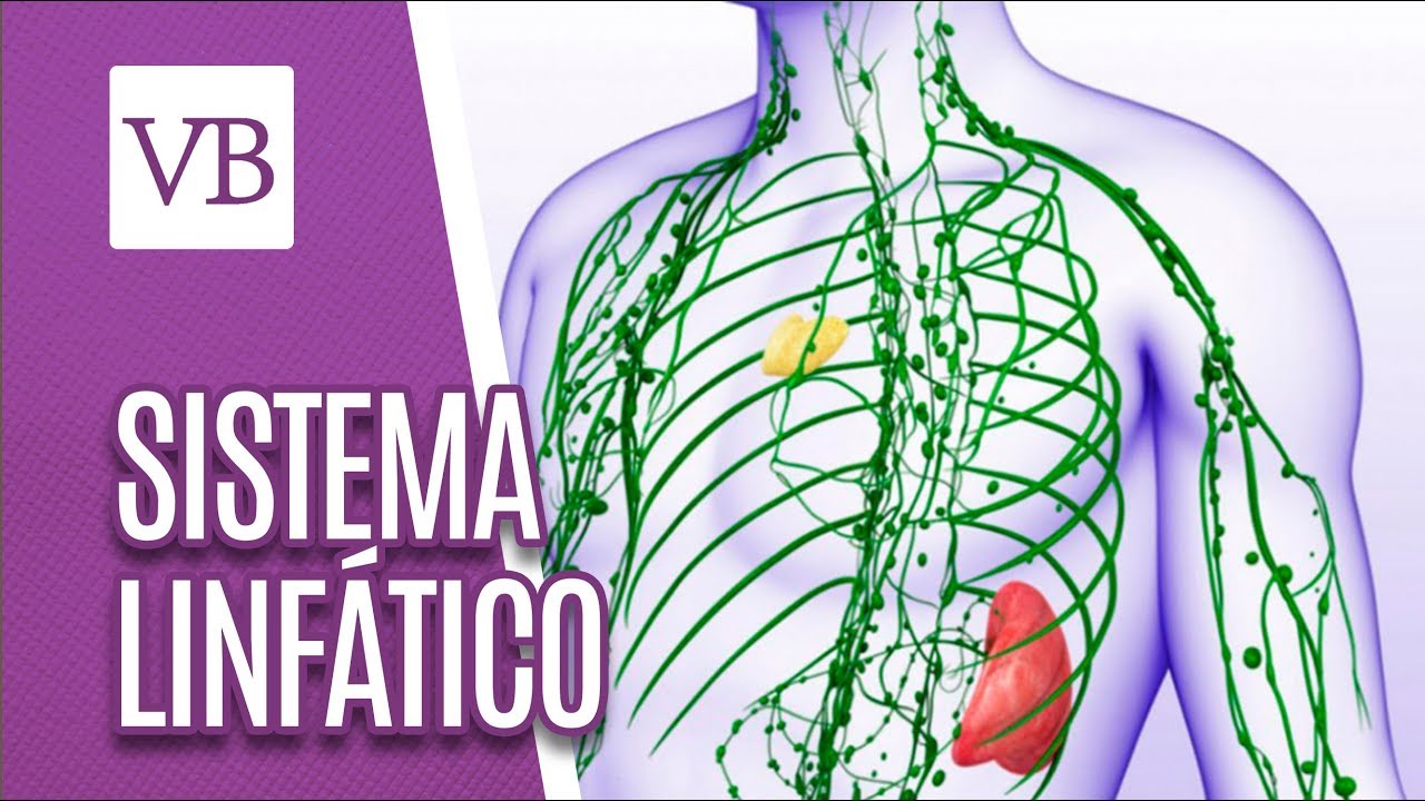 Como funciona o sistema linfático - Você Bonita (17/09/18)
