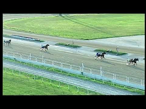 Napoli Trotto 11/06/2022 - 2ª prova di qualifica