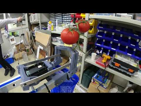 総合システム工学科 Tomato Robot Competition 2020 -preliminary- 北九州高専松尾浜松研究室