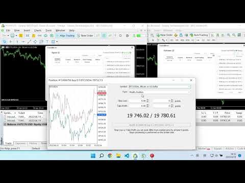 Video TradeMirror Pro MT5
