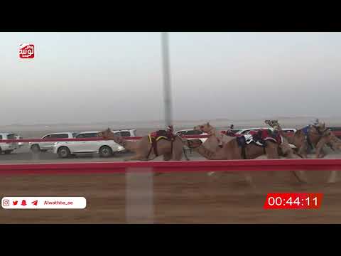 ش 1 (الظفره) لـ علي محمد حمود الجحافي 2:6 ، شارة الصندوق 2026/07/02 الروضة فطامين