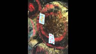 Cold steel thtowing at cards