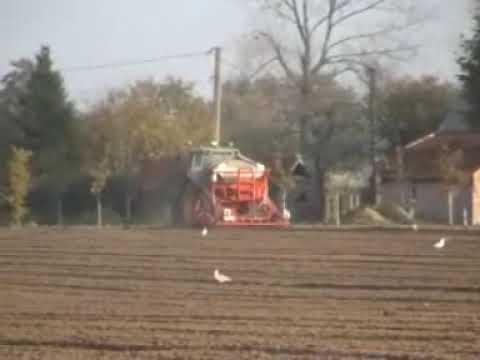 Segaert: Granen zaaien.