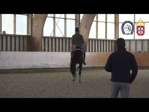 221130 3 Proj Ensino APSL&FEP - João Embaixador com Lancelot do Monte