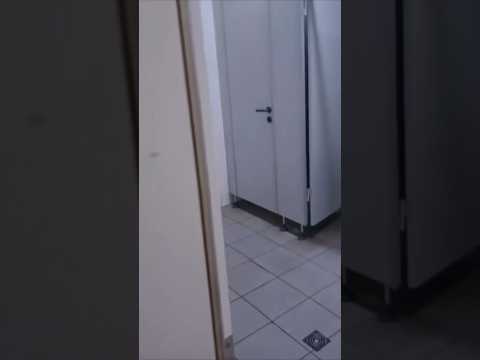 LMFO 🤣🤣🤣 @FunnyShorts91119 #shorts #funny #song #toilet #music