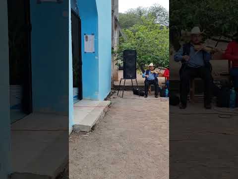 Mañanitas a la virgen de Guadalupe en la estancia de bagres