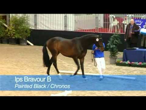 I.P.S BON BRAVOUR (SBS Keuring)