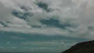 Windflowers, Seals and Crofts, Unborn Child