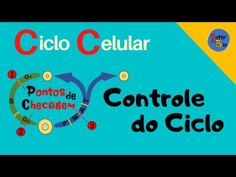 Controle do Ciclo Celular