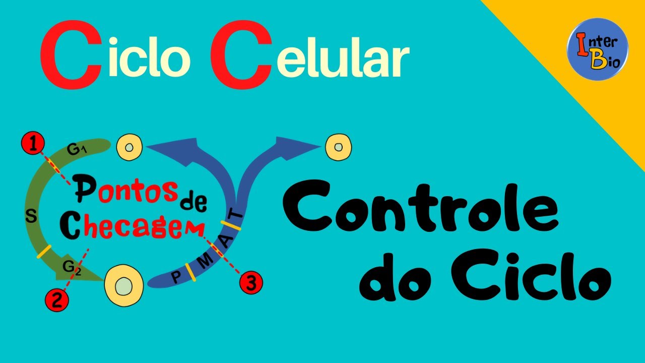 Controle do Ciclo Celular