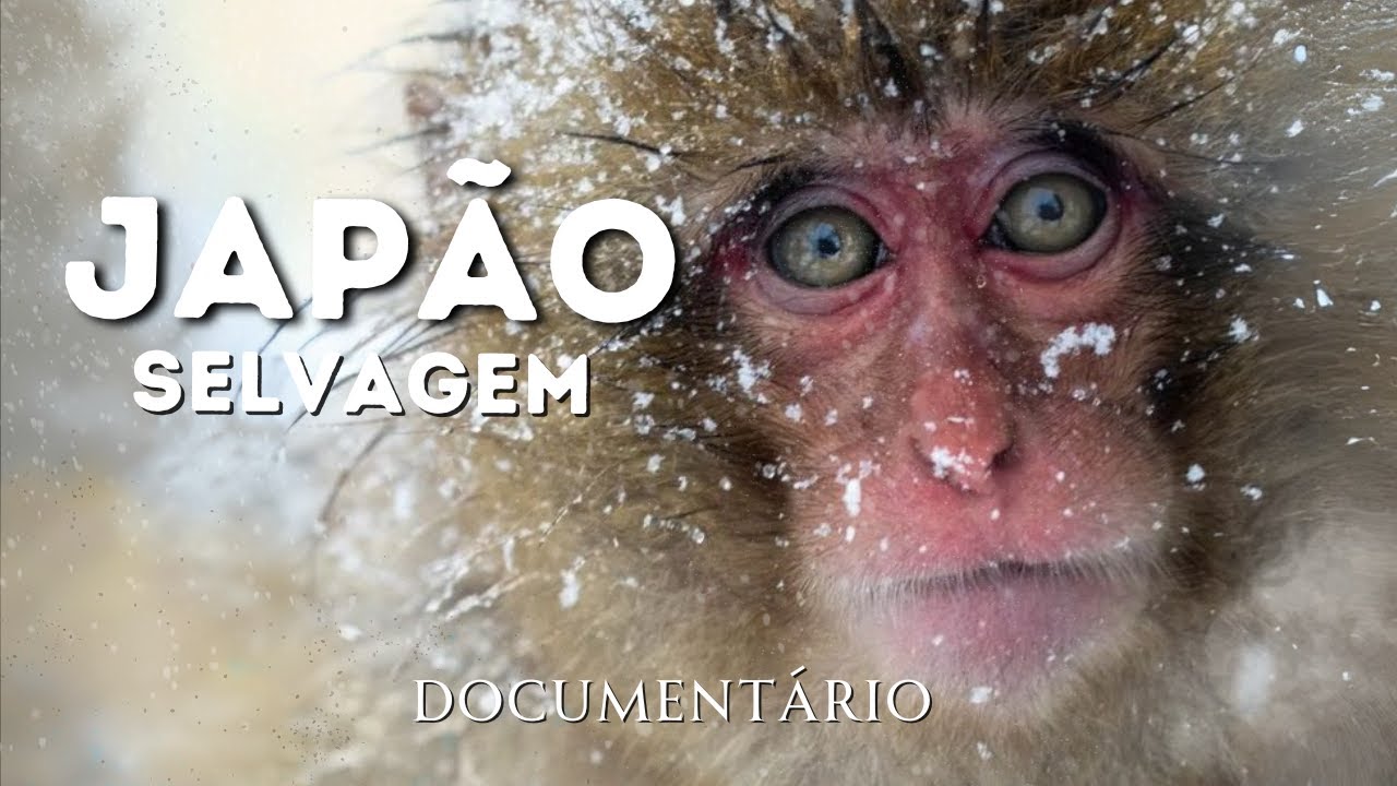 JAPÃO Selvagem | Entre Templos e Florestas | Documentário