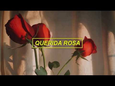 Querida Rosa - Cami  // l e t r a