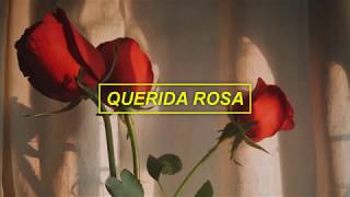 Querida Rosa - Cami  // l e t r a
