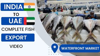 Live Fish Export To Dubai | How to Export Seafood | Fish Export Business |