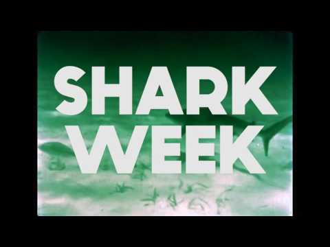 WSBF Shark Week 2017 Teaser