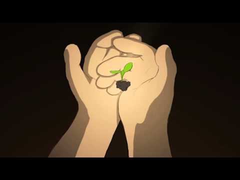 Jonah Blacksmith - Dandelion (Official Video)