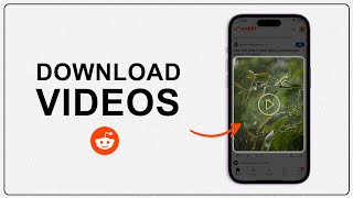 How To Download Videos from Reddit