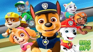 PAW Patrol On A Roll (Nickelodeon) - Full Episode 