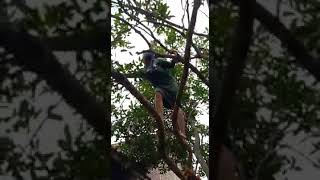 Download lagu Mulus dan Cantik kelihatan CD, nya mp3 Download lagu Mulus dan Cantik kelihatan CD, nya mp3