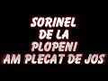 SORINEL DE LA PLOPENI   AM PLECAT DE JOS 2014