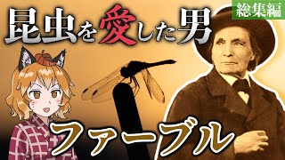 【総集編】昆虫を愛した男!ファーブルのストイックな生涯