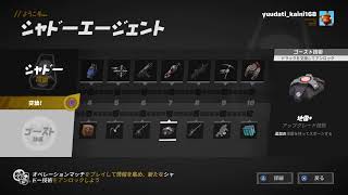 お魚さんのフォートナイト練習