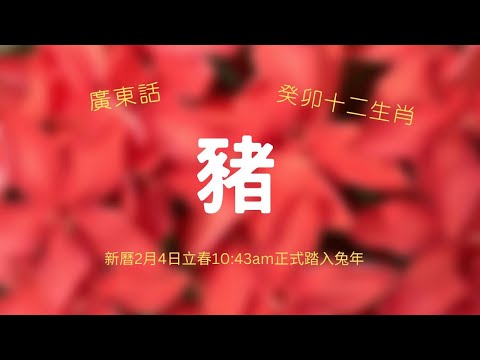 制白虎兇星