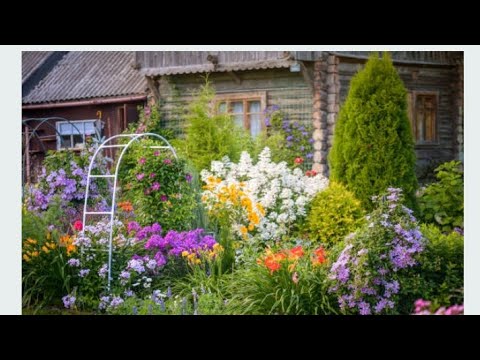 Colourful flower images | Hooria's Heaven 