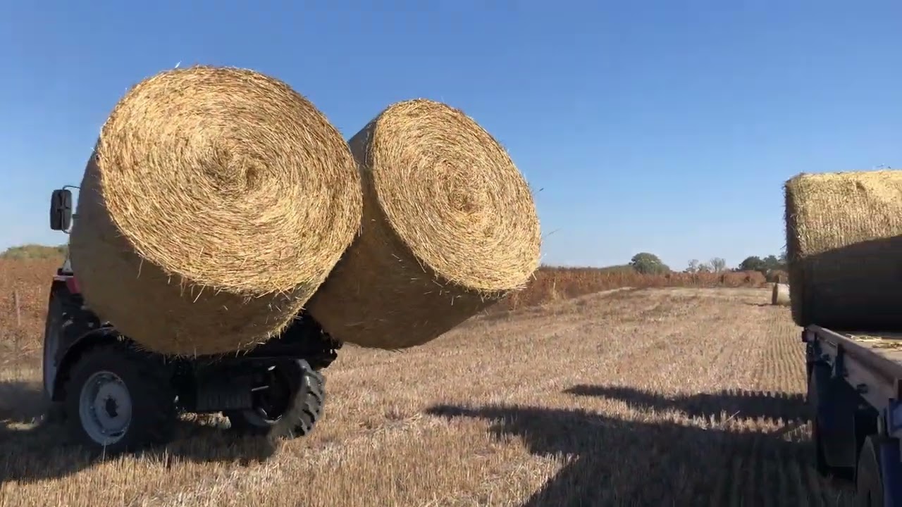 Blackbull Bálarakodó BXS