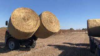 Blackbull Bálarakodó BXS