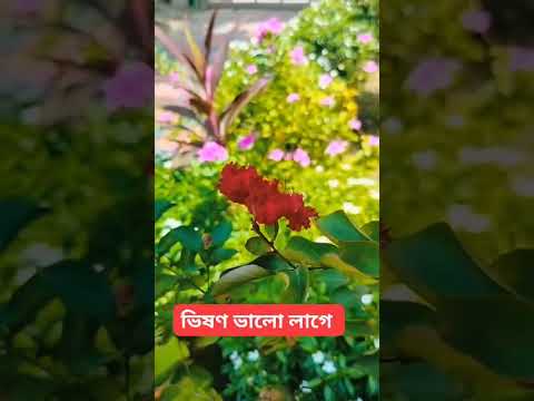 So cute 🩷🩷🩷🩷🩷🩷🩷🩷