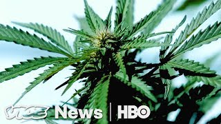 Pesticide-Free Pot & Trump's Move on HIV/AIDS : VICE News Tonight Full Episode (HBO)