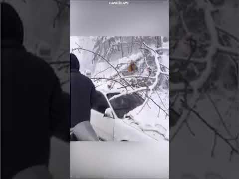 Beautiful Recitation  Rehm  Farma Mere  Maula  Mujhe Muaf Karde Beautiful  