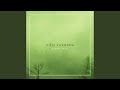 Green Mist
