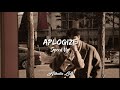 Apologize - Speed Up TikTok Version + Lyrics