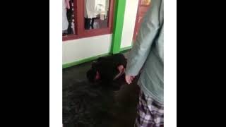 Download lagu Viral Jamaah meninggal dalam posisi sujud saat sholat Jumat mp3 Download lagu Viral Jamaah meninggal dalam posisi sujud saat sholat Jumat mp3