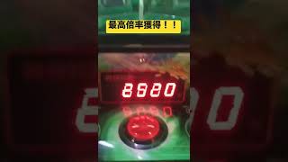 ギンガーンで最高倍率200倍当たった瞬間