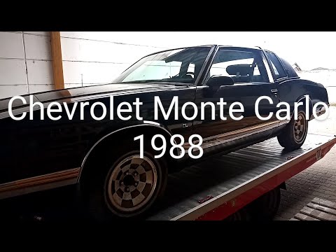 Geschmack kennt keine Grenzen - Chevrolet Monte Carlo Luxury Sport CL 5,0 Ltr. 1988