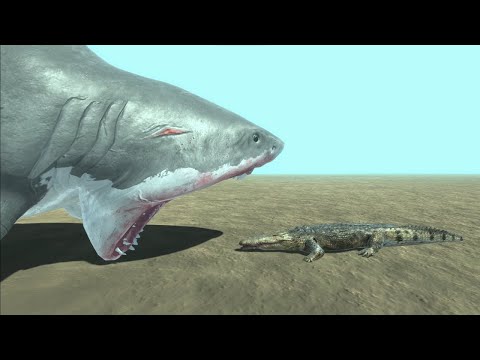 Megalodon vs saltwater crocodile FAMILY - Animal Revolt Battle Simulator