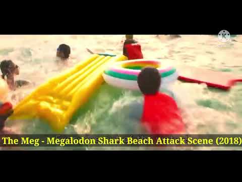 The Meg | Megalodon Shark Beach Attack Scene (2018)  | Meg Movie