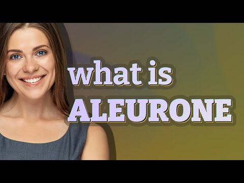 Aleurone | meaning of Aleurone