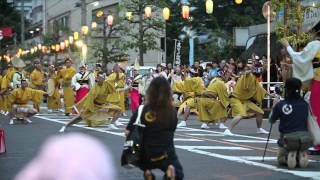 preview picture of video 'AWA-ODORI in NIIZA City 2012 【HD Video】第30回 新座阿波踊り大会'