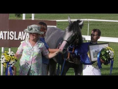 SITA, dostihy:  Derby 2017