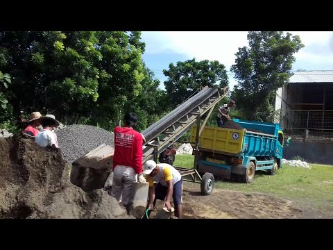 Resep patogen kuda di Torus palu ditemukan