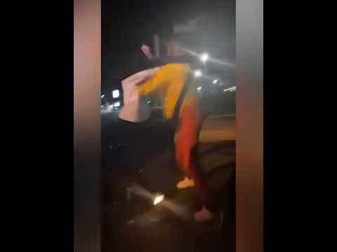 funniest animal videos of 2022 - funny golden retriever btdogs and cutest golden puppies  V.18274 #