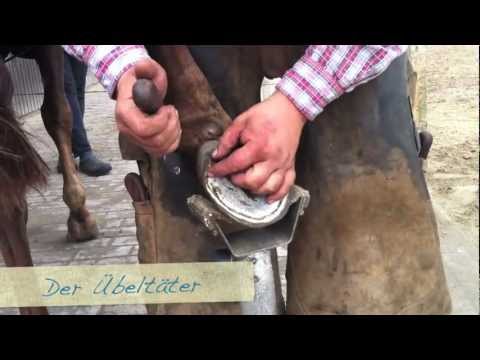 Drainage des Gelenks Dass eine solche gemeinsame Dreh