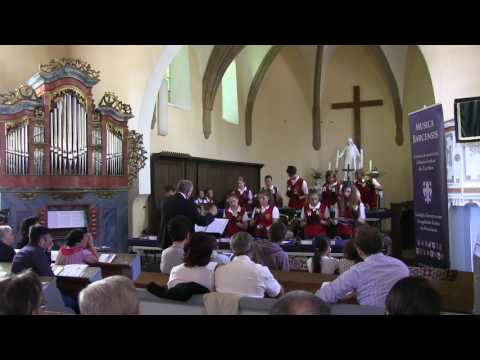 MUSICA BARCENSIS 2016 - Vulcan, 9 iulie 2016