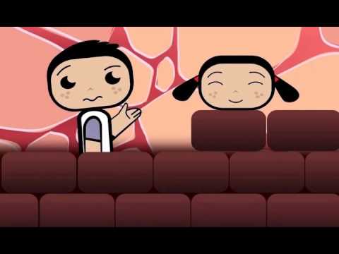 SALVO E GAIA - 3. I MUSCOLI