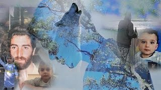 In the Smoke~~Cerrone~  HD